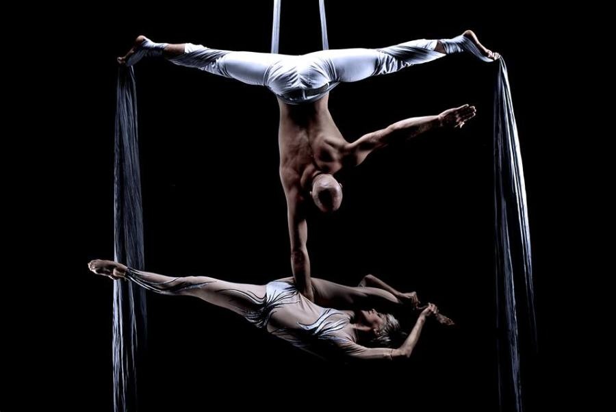 Aerial Silks Duo